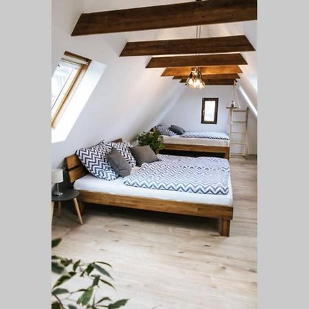 The Cozy Studio Apartment Lauf Lauf an der Pegnitz Bagian luar foto