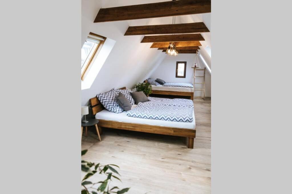 The Cozy Studio Apartment Lauf Lauf an der Pegnitz Bagian luar foto